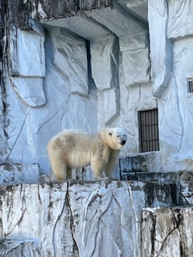 名古屋市東山動植物園に投稿された画像（2023/10/29）