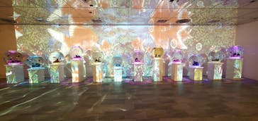 NARA KINGYO MUSEUMに投稿された画像（2023/10/29）