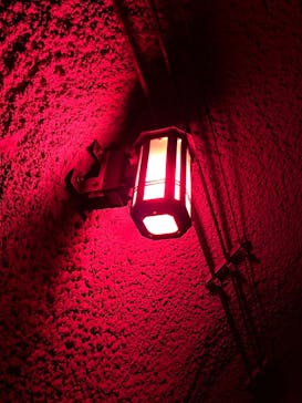 清津峡渓谷トンネルに投稿された画像（2023/10/29）