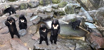 奥飛騨クマ牧場に投稿された画像（2023/10/29）