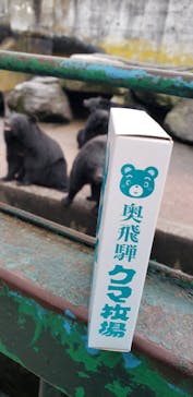 奥飛騨クマ牧場に投稿された画像（2023/10/29）
