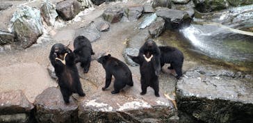 奥飛騨クマ牧場に投稿された画像（2023/10/29）