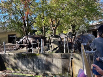 名古屋市東山動植物園に投稿された画像（2023/10/29）