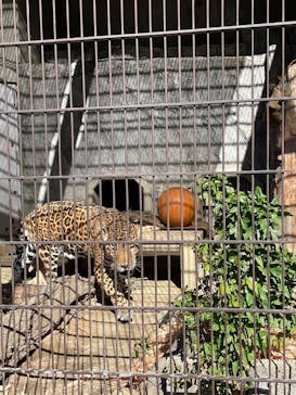 名古屋市東山動植物園に投稿された画像（2023/10/29）