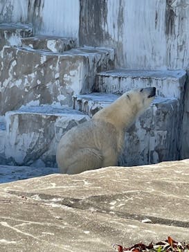 名古屋市東山動植物園に投稿された画像（2023/10/29）