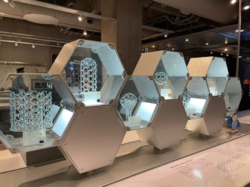 国立科学博物館に投稿された画像（2023/10/29）