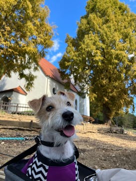 野外民族博物館 リトルワールドに投稿された画像（2023/10/29）