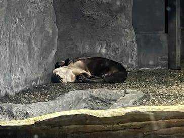 アクアワールド茨城県大洗水族館に投稿された画像（2023/10/29）