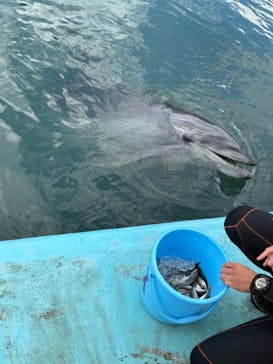 新江ノ島水族館に投稿された画像（2023/10/29）