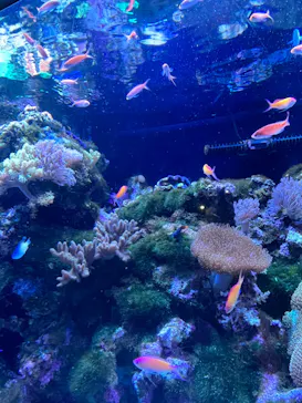 マクセル アクアパーク品川に投稿された画像（2023/10/29）