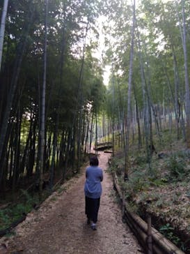 いばらきフラワーパークに投稿された画像（2023/10/29）