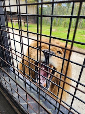 那須サファリパークに投稿された画像（2023/10/29）