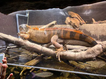 マクセル アクアパーク品川に投稿された画像（2023/10/29）