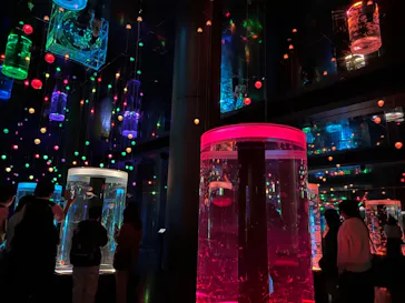 マクセル アクアパーク品川に投稿された画像（2023/10/29）