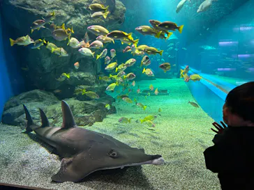 マクセル アクアパーク品川に投稿された画像（2023/10/29）