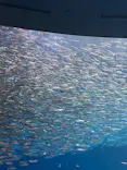名古屋港水族館に投稿された画像（2023/10/29）