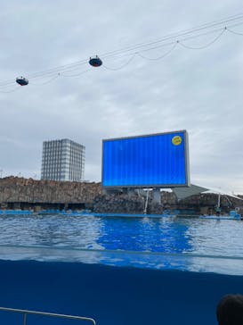 名古屋港水族館に投稿された画像（2023/10/29）