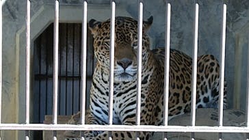 名古屋市東山動植物園に投稿された画像（2023/10/29）