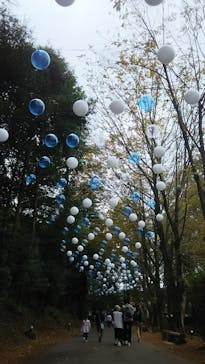 ムーミンバレーパークに投稿された画像（2023/10/29）