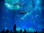 アクアワールド茨城県大洗水族館に投稿された画像（2023/10/29）