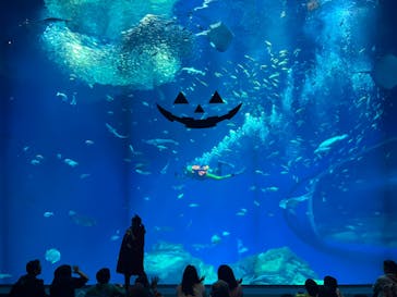 アクアワールド茨城県大洗水族館に投稿された画像（2023/10/29）