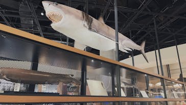 アクアワールド茨城県大洗水族館に投稿された画像（2023/10/29）