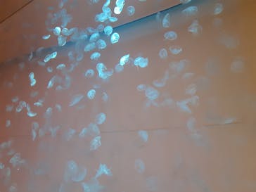 アクアワールド茨城県大洗水族館に投稿された画像（2023/10/29）