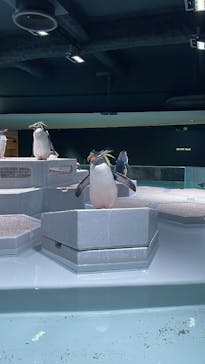 AOAO SAPPOROに投稿された画像（2023/10/29）