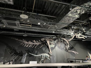 AOAO SAPPOROに投稿された画像（2023/10/29）