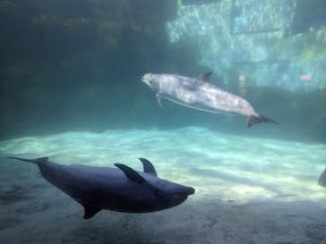 名古屋港水族館に投稿された画像（2023/10/29）