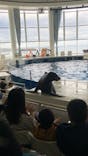 アクアワールド茨城県大洗水族館に投稿された画像（2023/10/29）