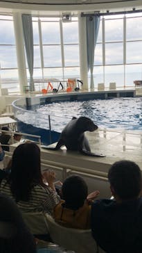 アクアワールド茨城県大洗水族館に投稿された画像（2023/10/29）