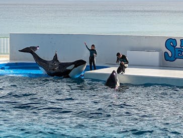 鴨川シーワールドに投稿された画像（2023/10/29）
