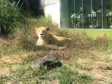 伊豆アニマルキングダムに投稿された画像（2023/10/29）