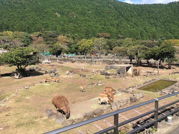 伊豆アニマルキングダムに投稿された画像（2023/10/29）