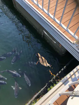 横浜・八景島シーパラダイスに投稿された画像（2023/10/29）