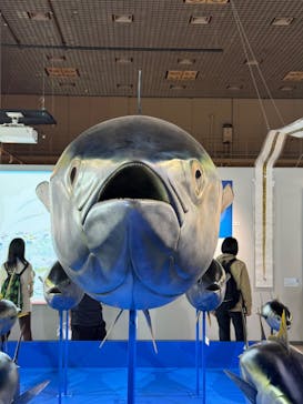 特別展「和食 ～日本の自然、人々の知恵～」に投稿された画像（2023/10/29）