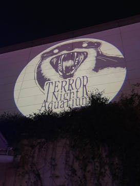 サンシャイン水族館に投稿された画像（2023/10/29）