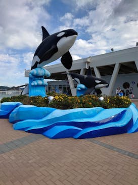 鴨川シーワールドに投稿された画像（2023/10/29）