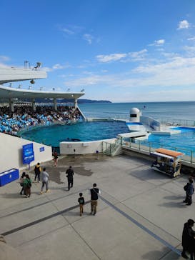 鴨川シーワールドに投稿された画像（2023/10/29）