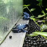 カワスイ 川崎⽔族館に投稿された画像（2023/10/29）