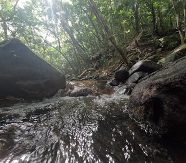 西表島 ADVENTURE PiPi（アドベンチャーピピ）に投稿された画像（2023/10/29）