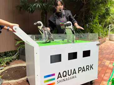 マクセル アクアパーク品川に投稿された画像（2023/10/29）