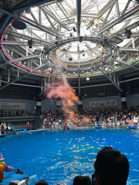 マクセル アクアパーク品川に投稿された画像（2023/10/29）