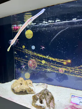 マクセル アクアパーク品川に投稿された画像（2023/10/29）