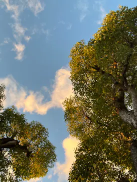 ひらかたパークに投稿された画像（2023/10/29）