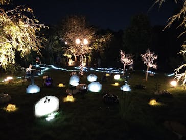 横浜イングリッシュガーデンに投稿された画像（2023/10/29）