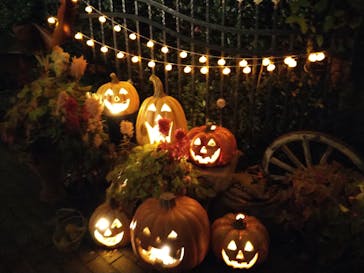 横浜イングリッシュガーデンに投稿された画像（2023/10/29）