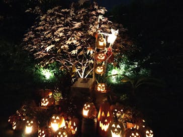 横浜イングリッシュガーデンに投稿された画像（2023/10/29）