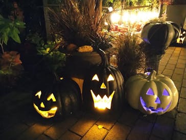 横浜イングリッシュガーデンに投稿された画像（2023/10/29）